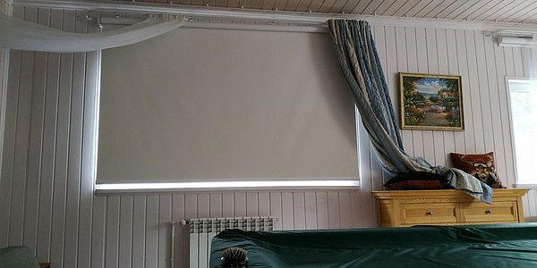 Рулонные шторы Классика Benthin L 52 с редуктором и монтажным профилем, ткань Аполло блэкаут белый_0225. Рулонные шторы Классика Benthin L 52 с редуктором и монтажным профилем, ткань Аполло блэкаут белый_0225.